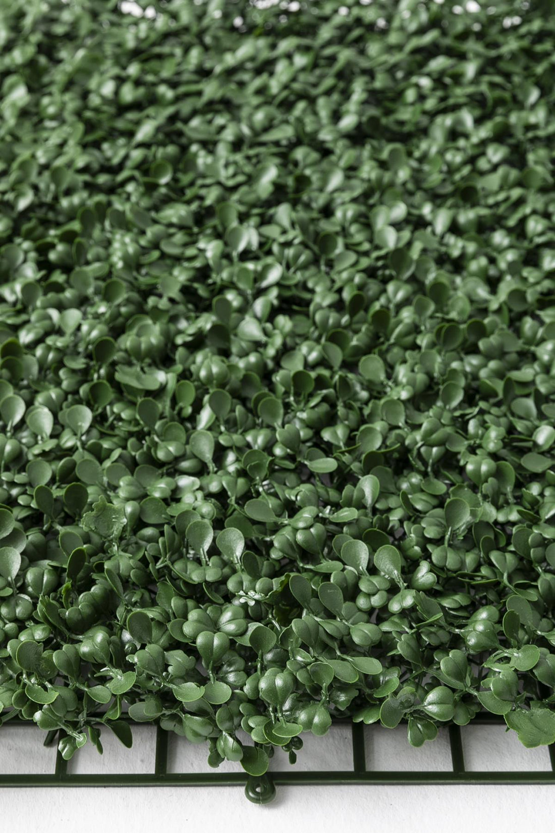 Yapay Duvar Paneli Uv Korumalı Şimşir Koyu Yeşil 50*50