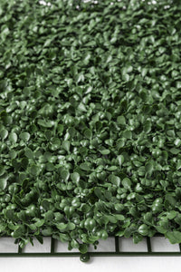 Yapay Duvar Paneli Uv Korumalı Şimşir Koyu Yeşil 50*50