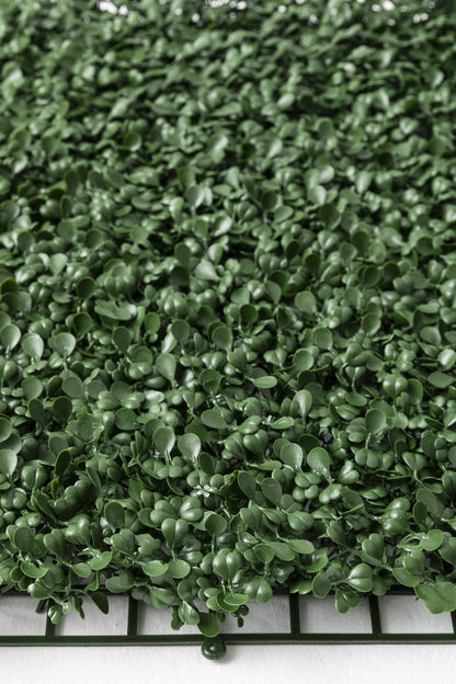 Yapay Duvar Paneli Uv Korumalı Şimşir Koyu Yeşil 50*50