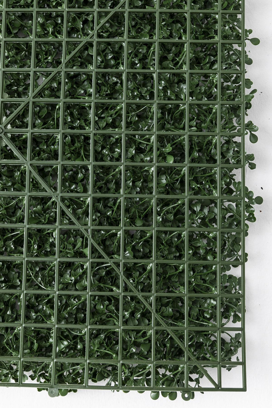 Yapay Duvar Paneli Uv Korumalı Şimşir Koyu Yeşil 50*50