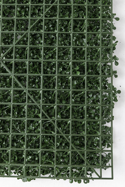 Yapay Duvar Paneli Uv Korumalı Şimşir Koyu Yeşil 50*50