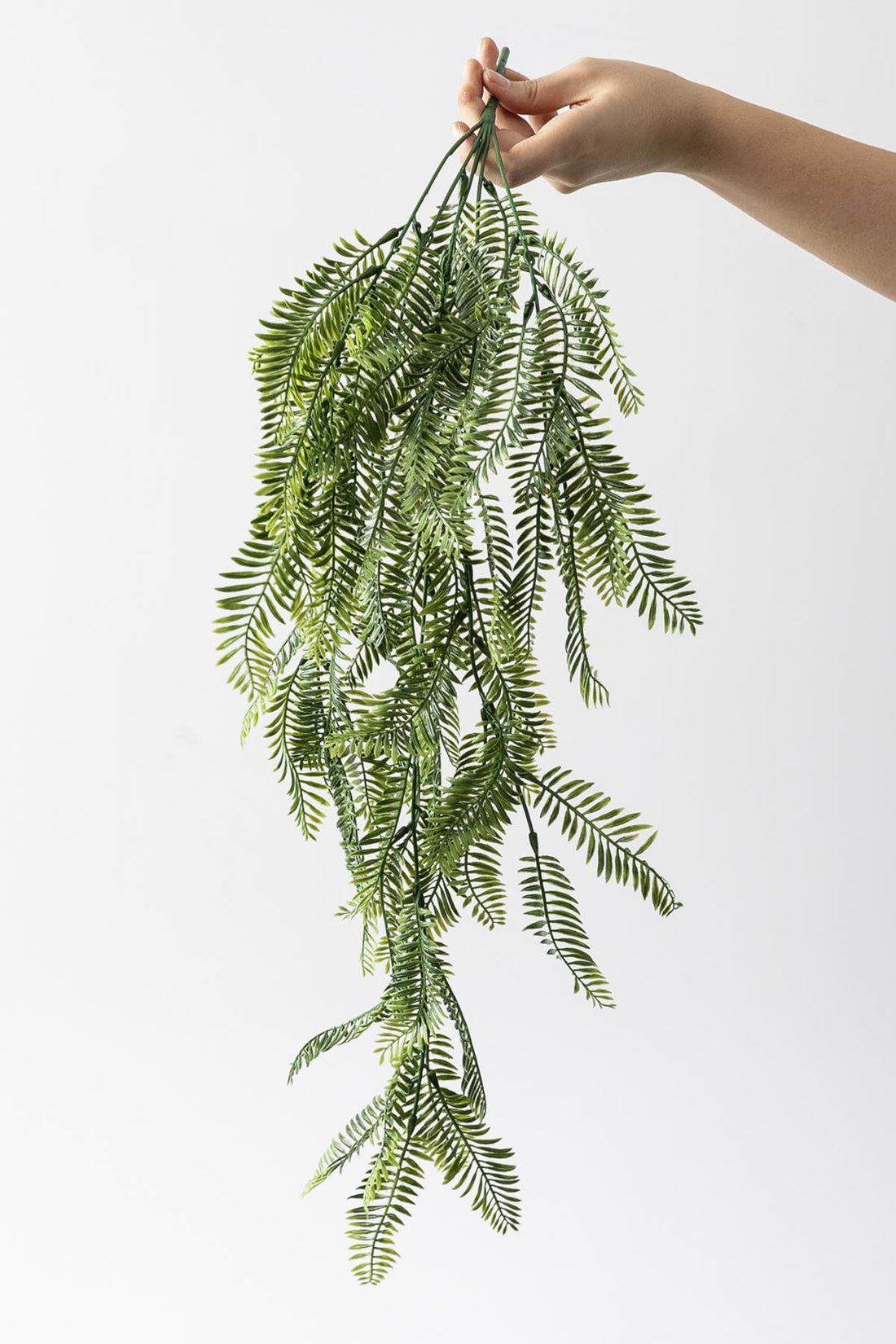 Yapay Eğrelti Sarmaşık Uv Korumalı 75 Cm 5 Dal