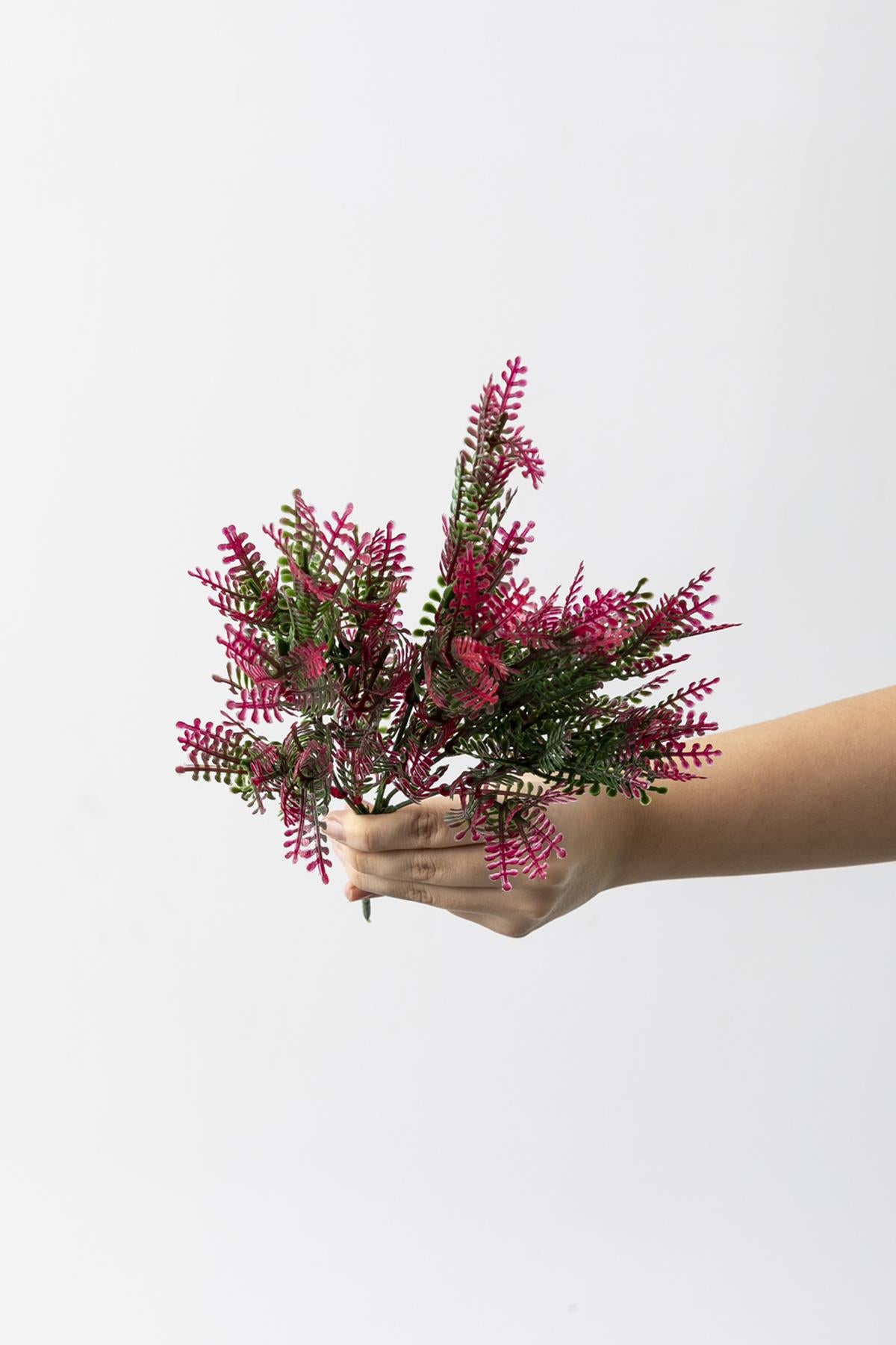 Yapay Fabaca Demeti Yeşil Pembe 35 Cm 5 Dal(Uv)