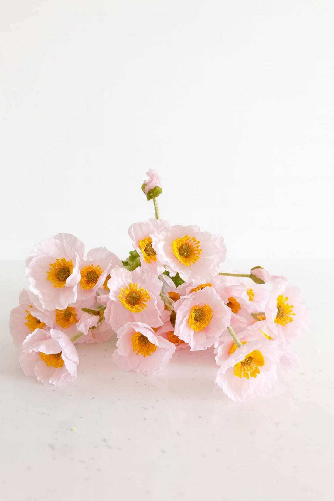 Yapay Gelincik Çiçeği 60 Cm Tek Dal Toz Pembe