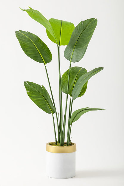 Yapay Geniş Yapraklı Starliçe Ağacı