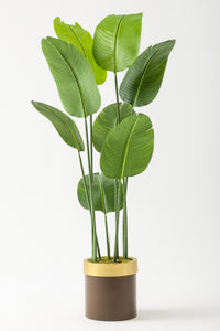 Yapay Geniş Yapraklı Starliçe Ağacı