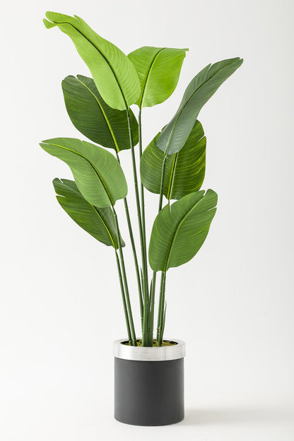 Yapay Geniş Yapraklı Starliçe Ağacı