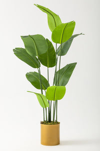 Yapay Geniş Yapraklı Starliçe Ağacı