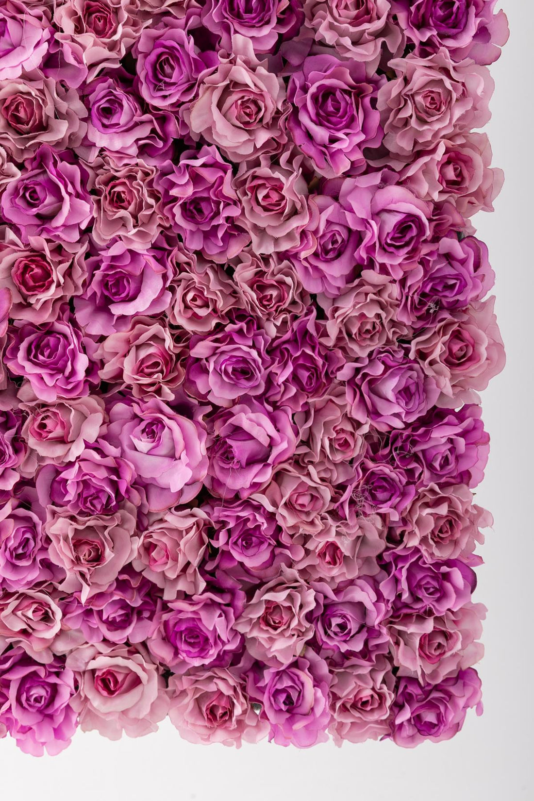 Yapay Gül Duvarı 100x100