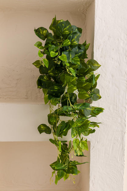 Yapay Hedera Sarmaşık 100 Cm 9 Dal