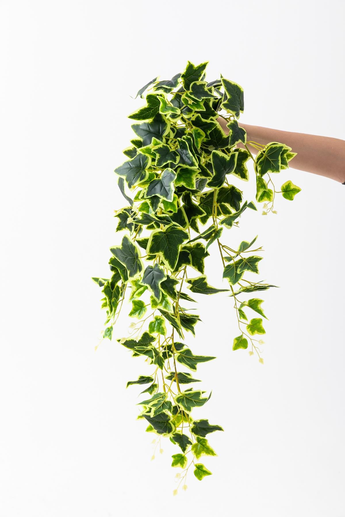 Yapay Hedera Sarmaşık 100 Cm 9 Dal