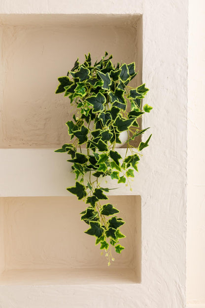 Yapay Hedera Sarmaşık 100 Cm 9 Dal