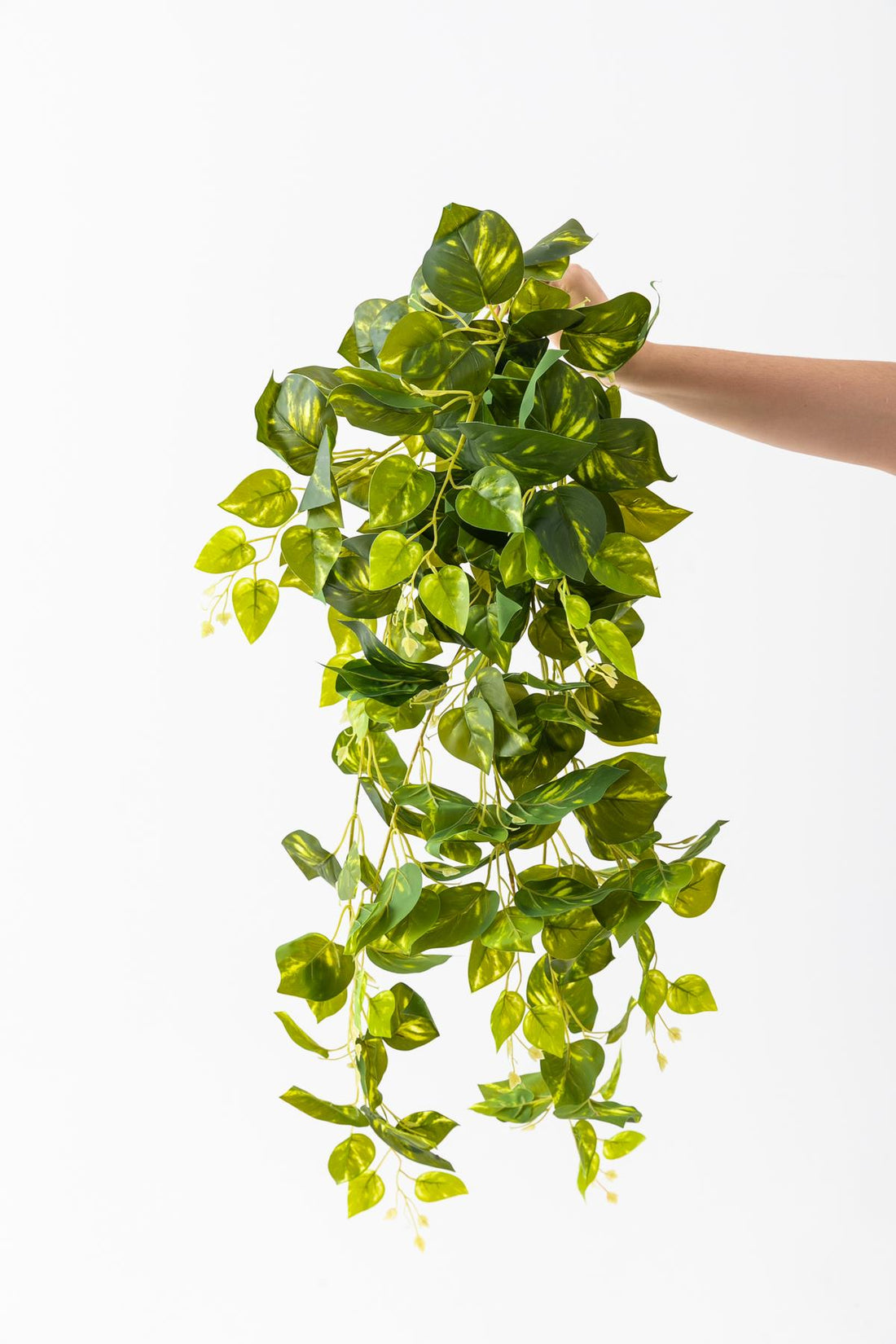 Yapay Hedera Sarmaşık 100 Cm 9 Dal Alacalı Yeşil