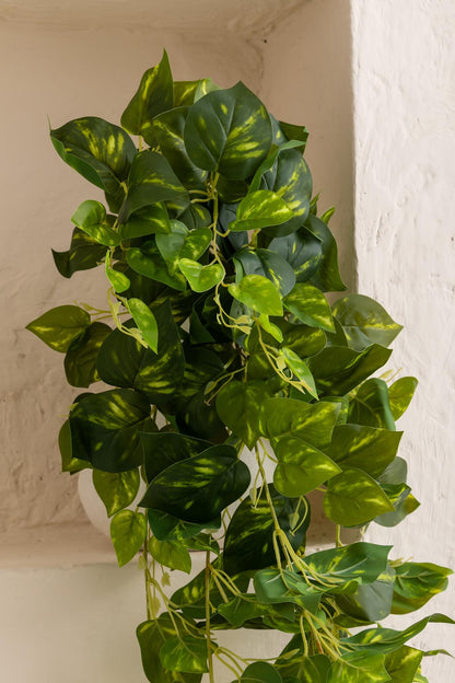 Yapay Hedera Sarmaşık 100 Cm 9 Dal Alacalı Yeşil