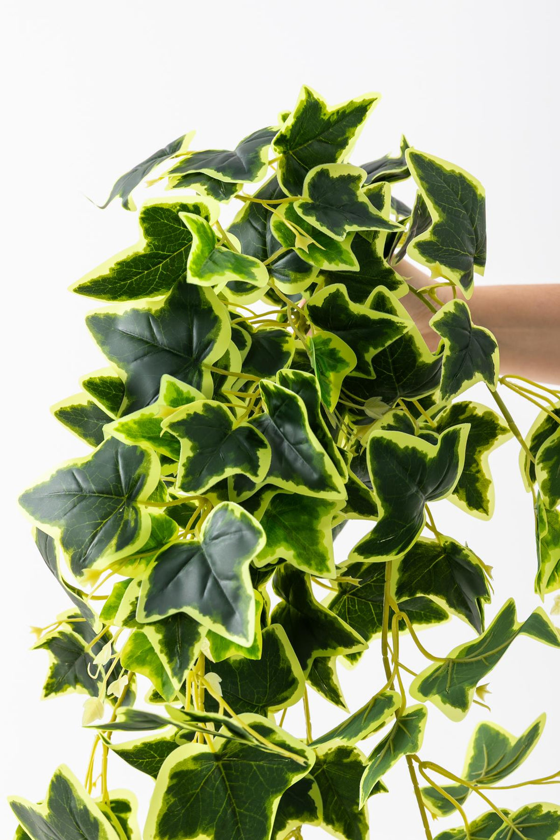 Yapay Hedera Sarmaşık 100 Cm 9 Dal Yeşil Sarı