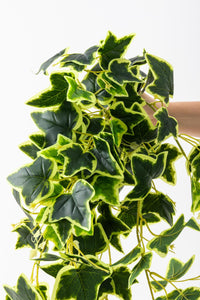 Yapay Hedera Sarmaşık 100 Cm 9 Dal Yeşil Sarı