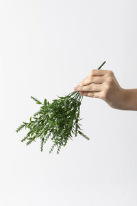 Yapay Ihlamur Demeti Yeşil 35 Cm 5 Dal(Uv)