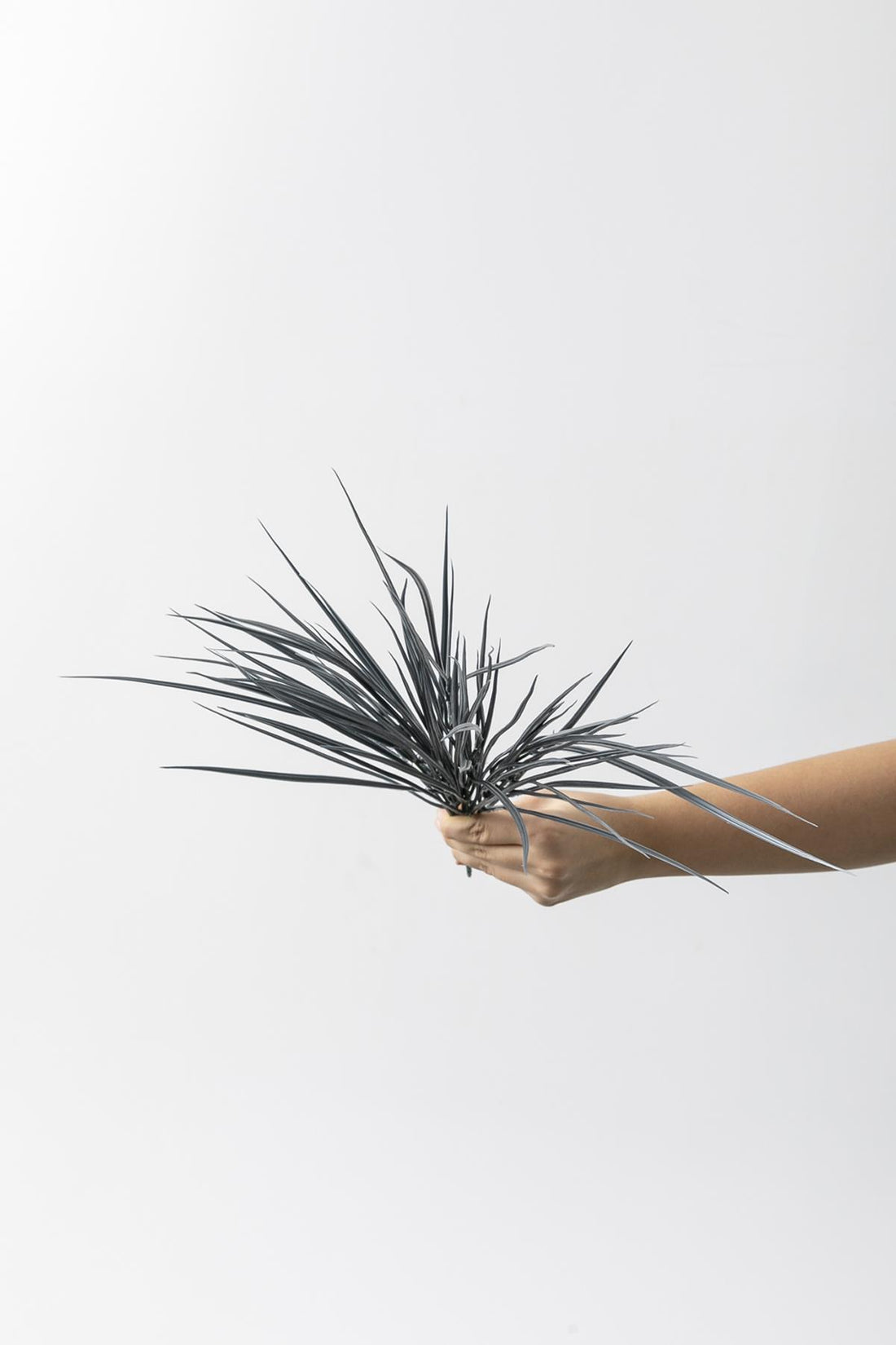 Yapay İnce Saz Demeti Gri 50 Cm 7 Dal(Uv)