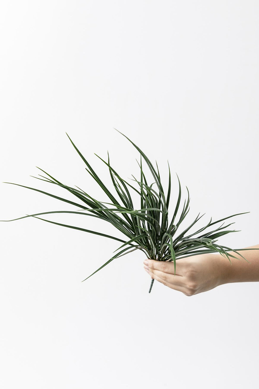 Yapay İnce Saz Demeti Koyu Yeşil 50 Cm 7 Dal(Uv)