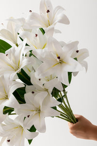 Yapay Islak Kazabılanka Çiçeği Beyaz 9 Dal