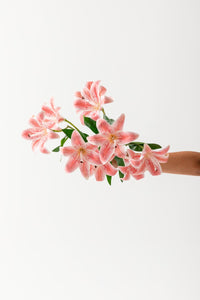 Yapay Islak Kazabılanka Çiçeği Pembe 9 Dal