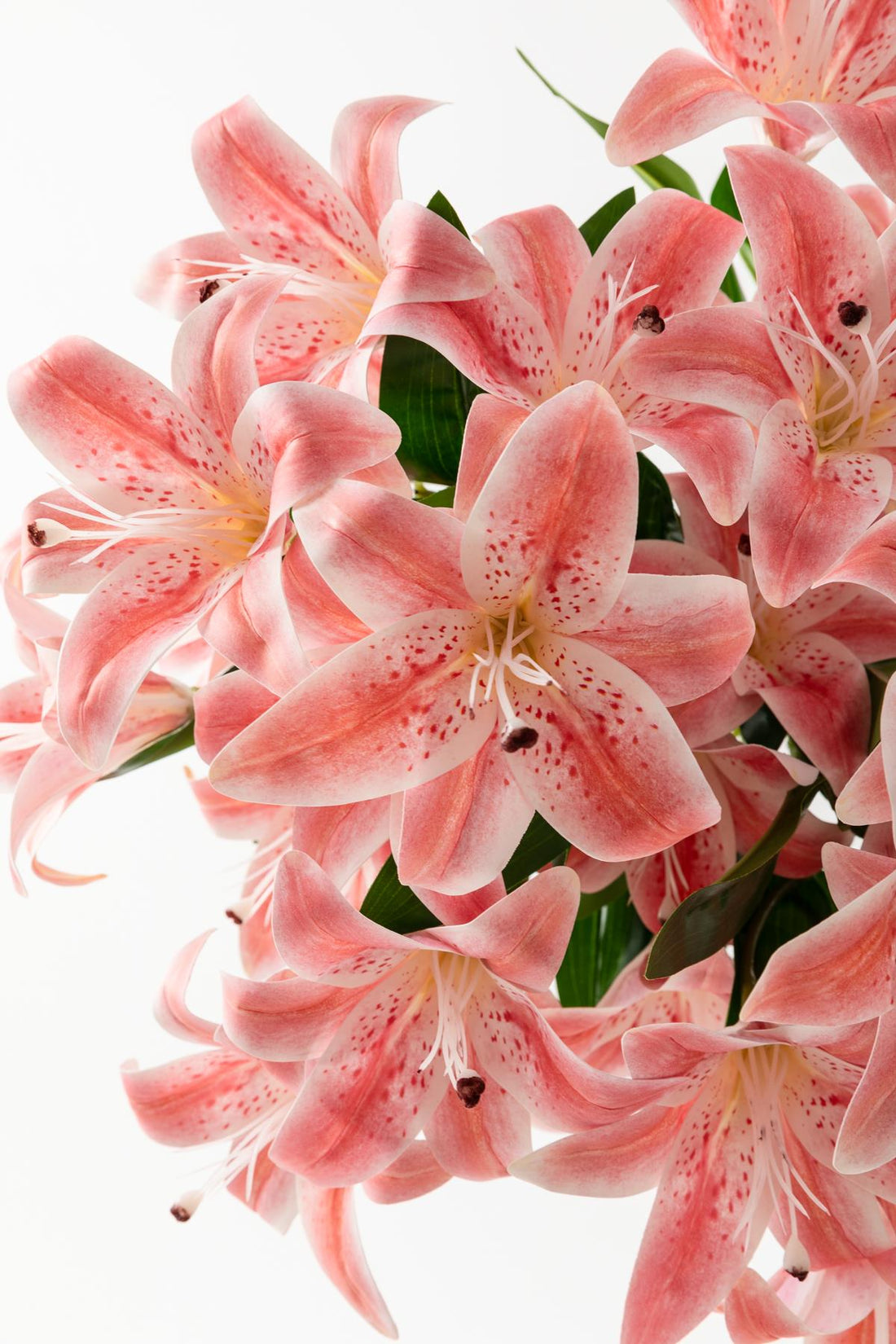 Yapay Islak Kazabılanka Çiçeği Pembe 9 Dal