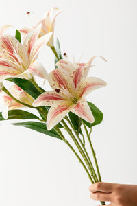 Yapay Islak Kazabılanka Çiçeği Pembe-Beyaz 9 Dal