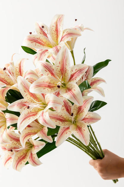 Yapay Islak Kazabılanka Çiçeği Pembe-Beyaz 9 Dal