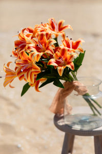 Yapay Islak Kazabılanka Çiçeği Turuncu 9 Dal