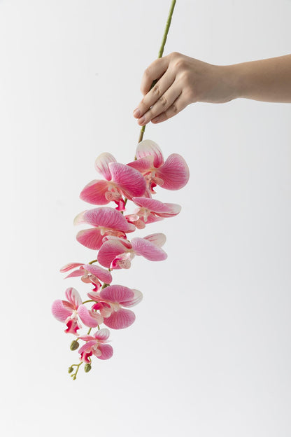 Yapay Islak Orkide Çiçeği Açık Pembe Tek Dal