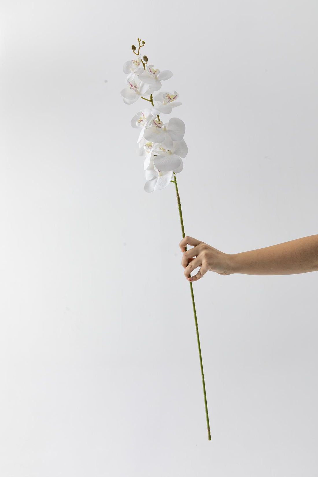 Yapay Islak Orkide Çiçeği Beyaz Tek Da