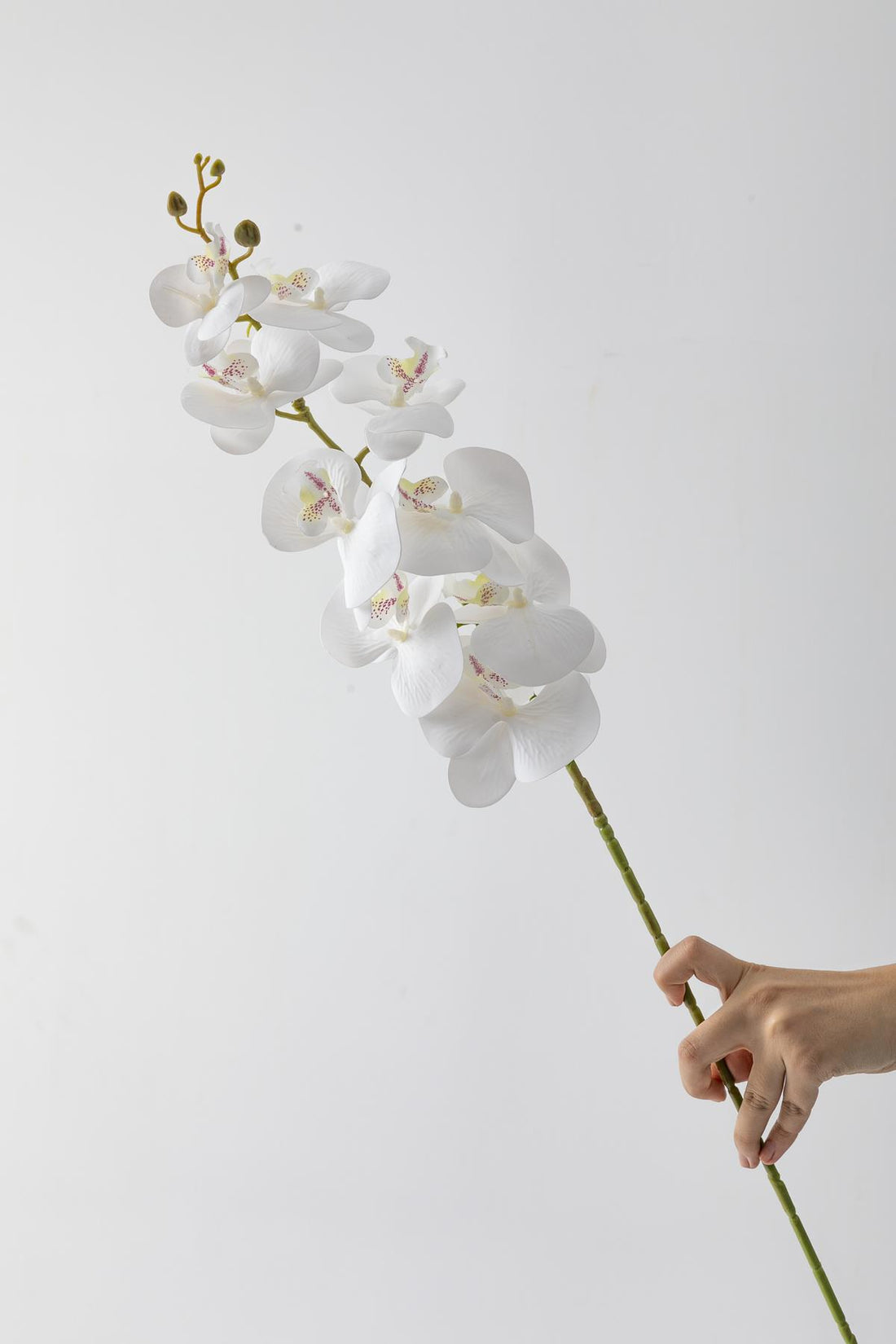 Yapay Islak Orkide Çiçeği Beyaz Tek Da