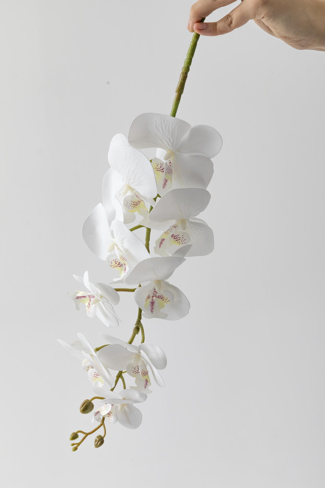 Yapay Islak Orkide Çiçeği Beyaz Tek Da