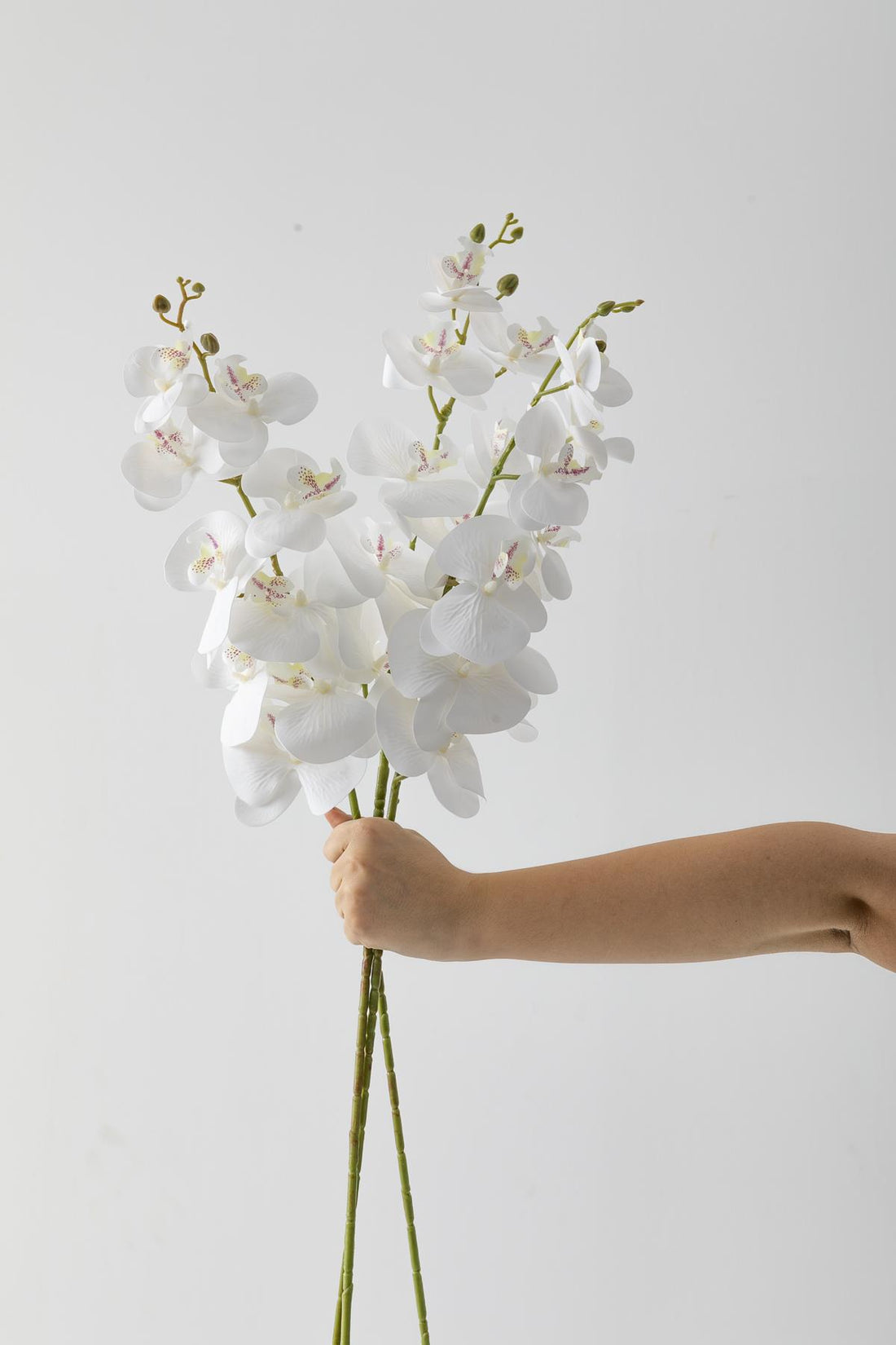 Yapay Islak Orkide Çiçeği Beyaz Tek Da