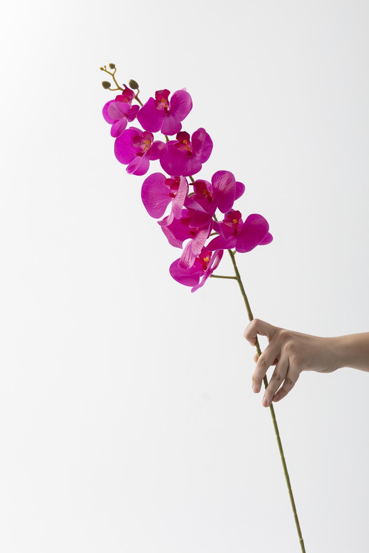 Yapay Islak Orkide Çiçeği Fuşya Tek Dal