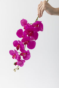 Yapay Islak Orkide Çiçeği Fuşya Tek Dal