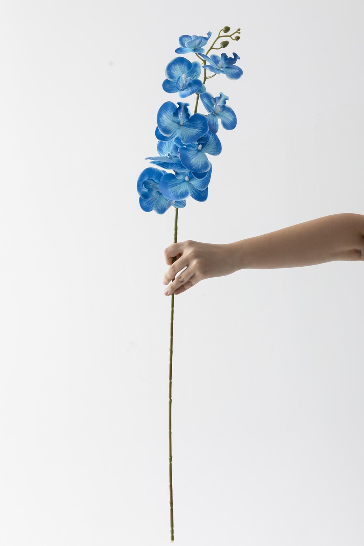 Yapay Islak Orkide Çiçeği Mavi Tek Dal