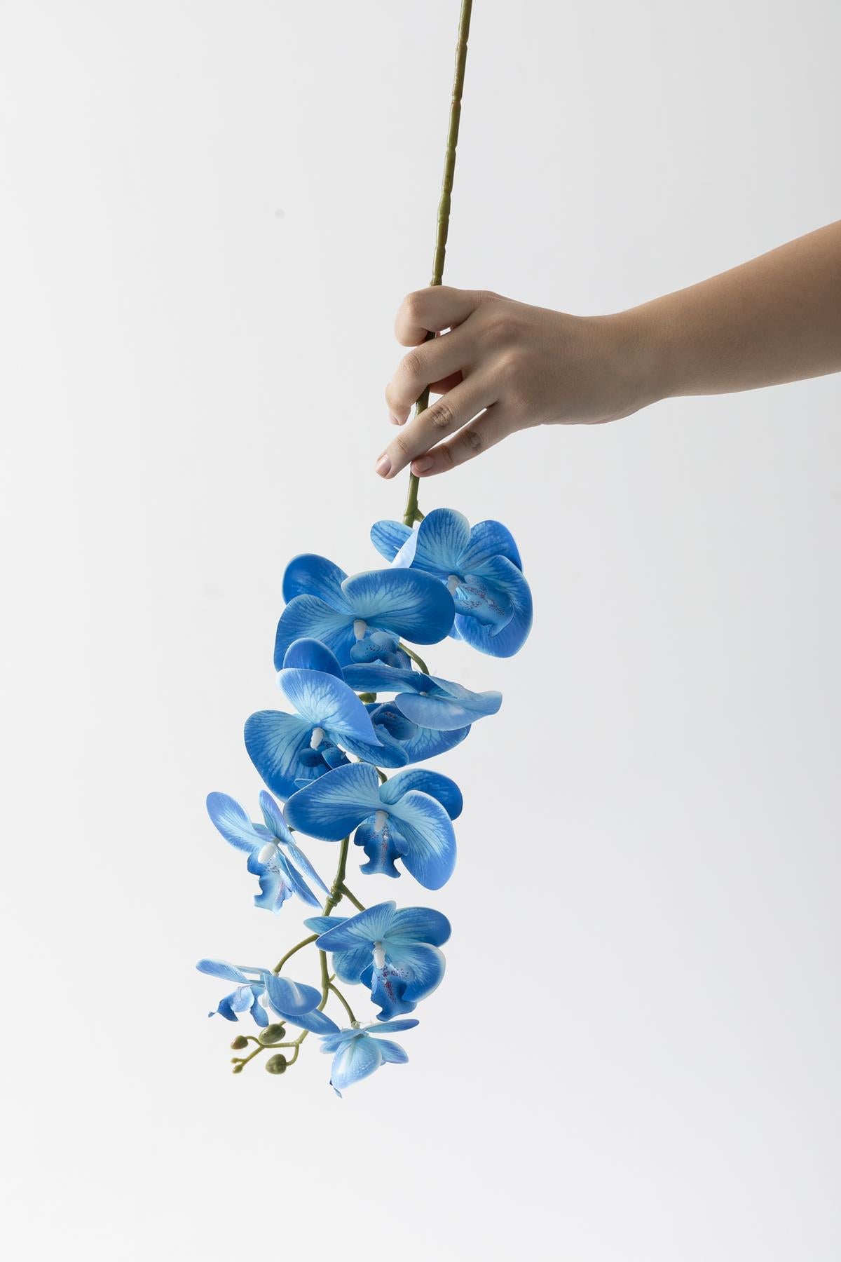 Yapay Islak Orkide Çiçeği Mavi Tek Dal