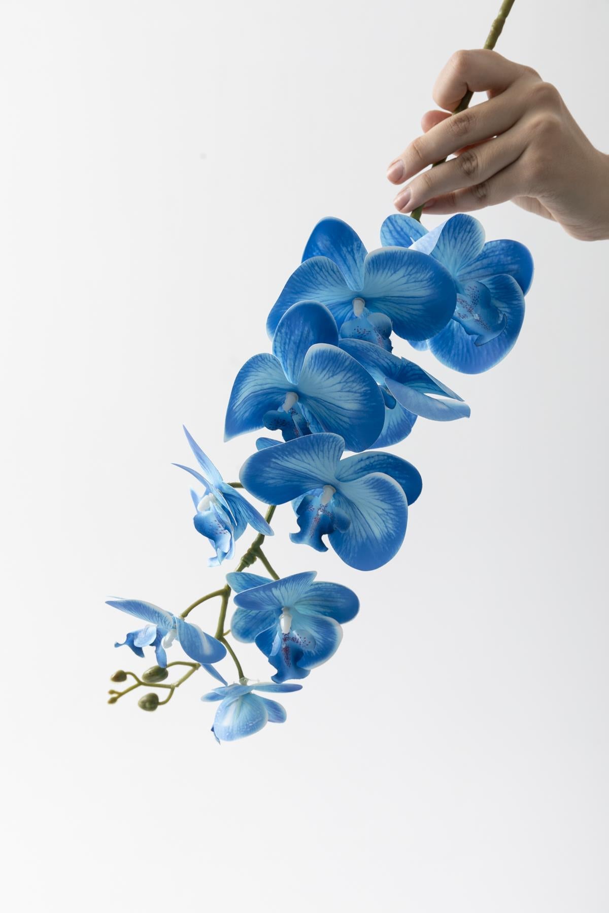 Yapay Islak Orkide Çiçeği Mavi Tek Dal