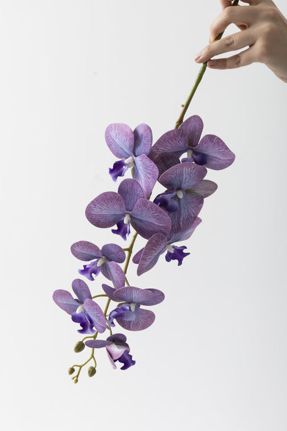 Yapay Islak Orkide Çiçeği Mor Tek Dal