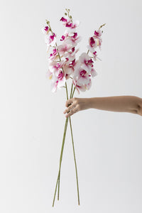 Yapay Islak Orkide Çiçeği Pembe Beyaz Tek Dal