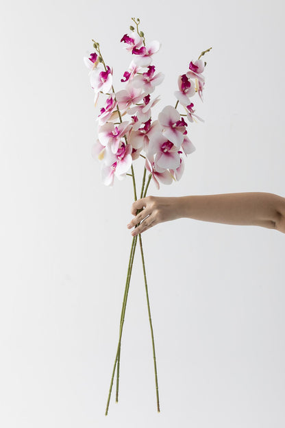 Yapay Islak Orkide Çiçeği Pembe Beyaz Tek Dal