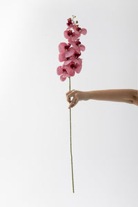 Yapay Islak Orkide Çiçeği Pembe Tek Dal