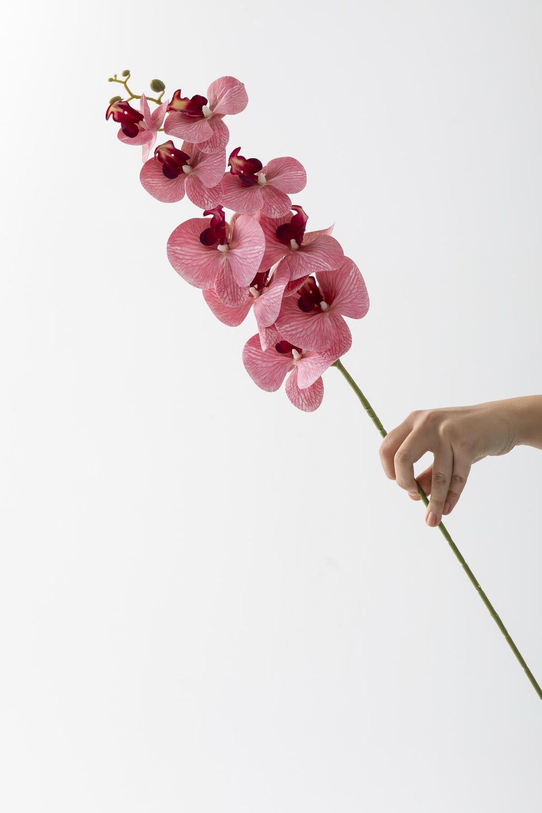 Yapay Islak Orkide Çiçeği Pembe Tek Dal