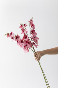 Yapay Islak Orkide Çiçeği Pembe Tek Dal