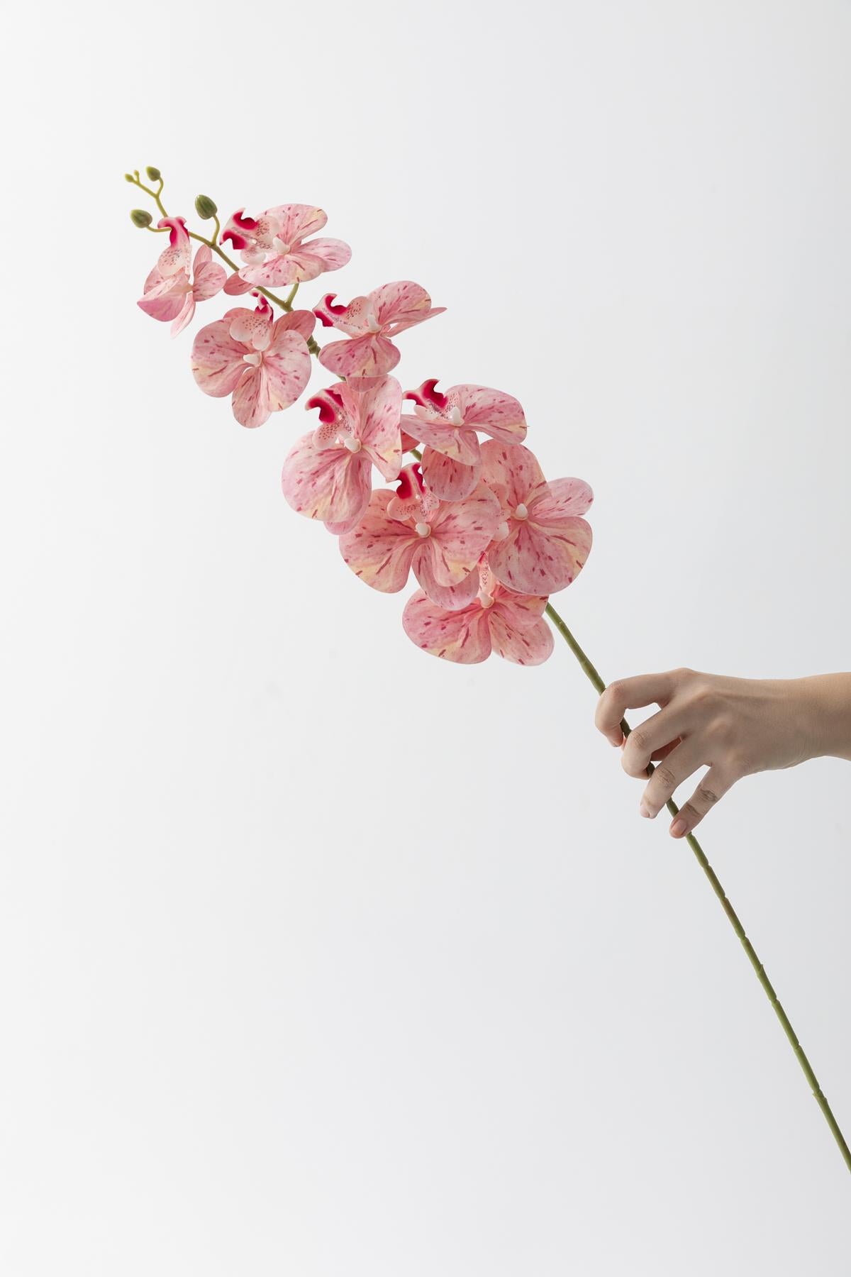 Yapay Islak Orkide Çiçeği Pudra Tek Dal