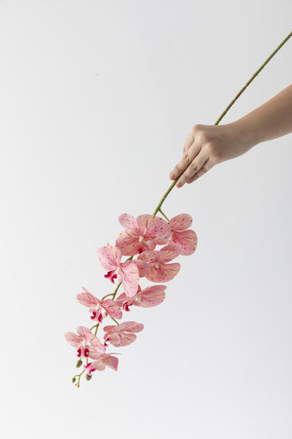 Yapay Islak Orkide Çiçeği Pudra Tek Dal