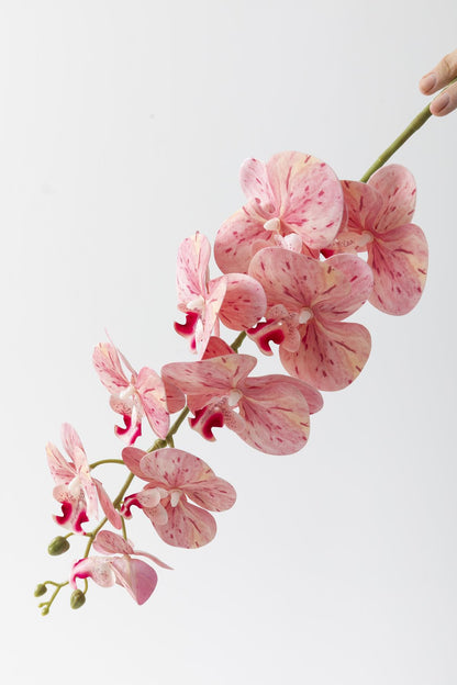 Yapay Islak Orkide Çiçeği Pudra Tek Dal