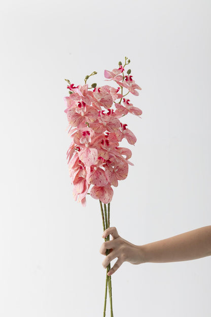 Yapay Islak Orkide Çiçeği Pudra Tek Dal