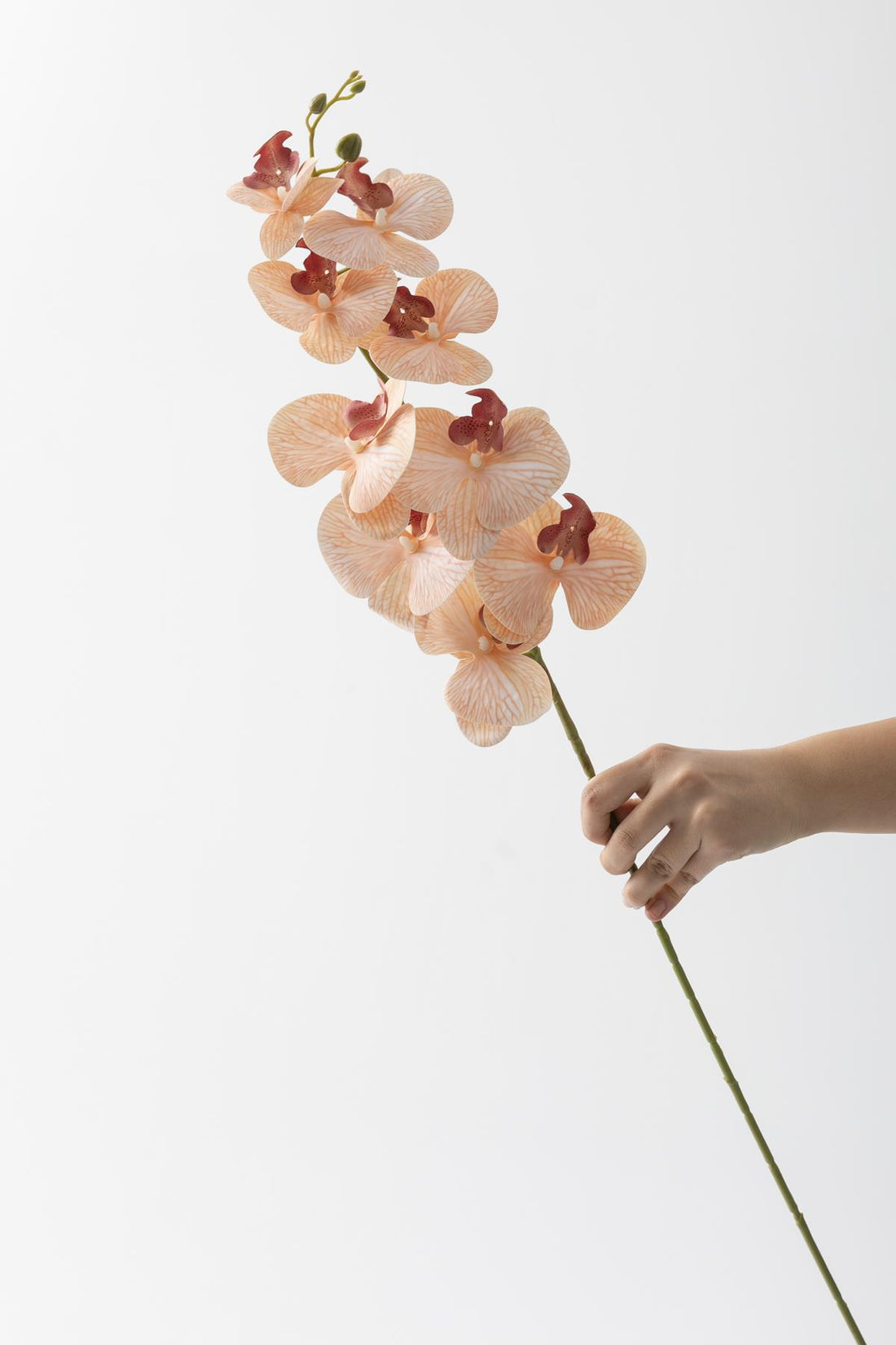 Yapay Islak Orkide Çiçeği Turuncu Tek Dal